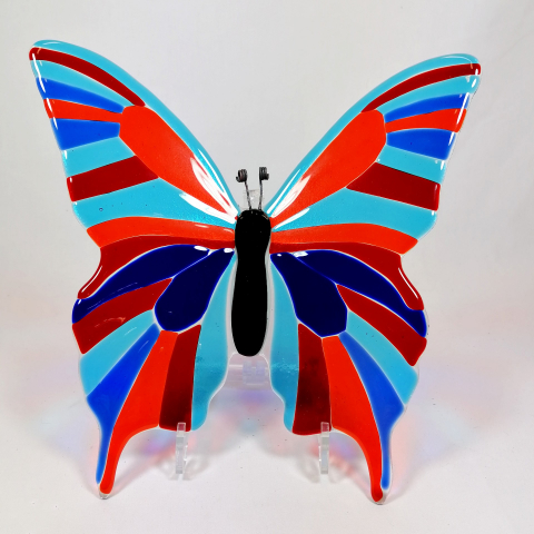 grote vlinder transparant