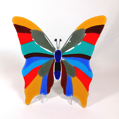 grote glazen vlinder kleurrijk 2