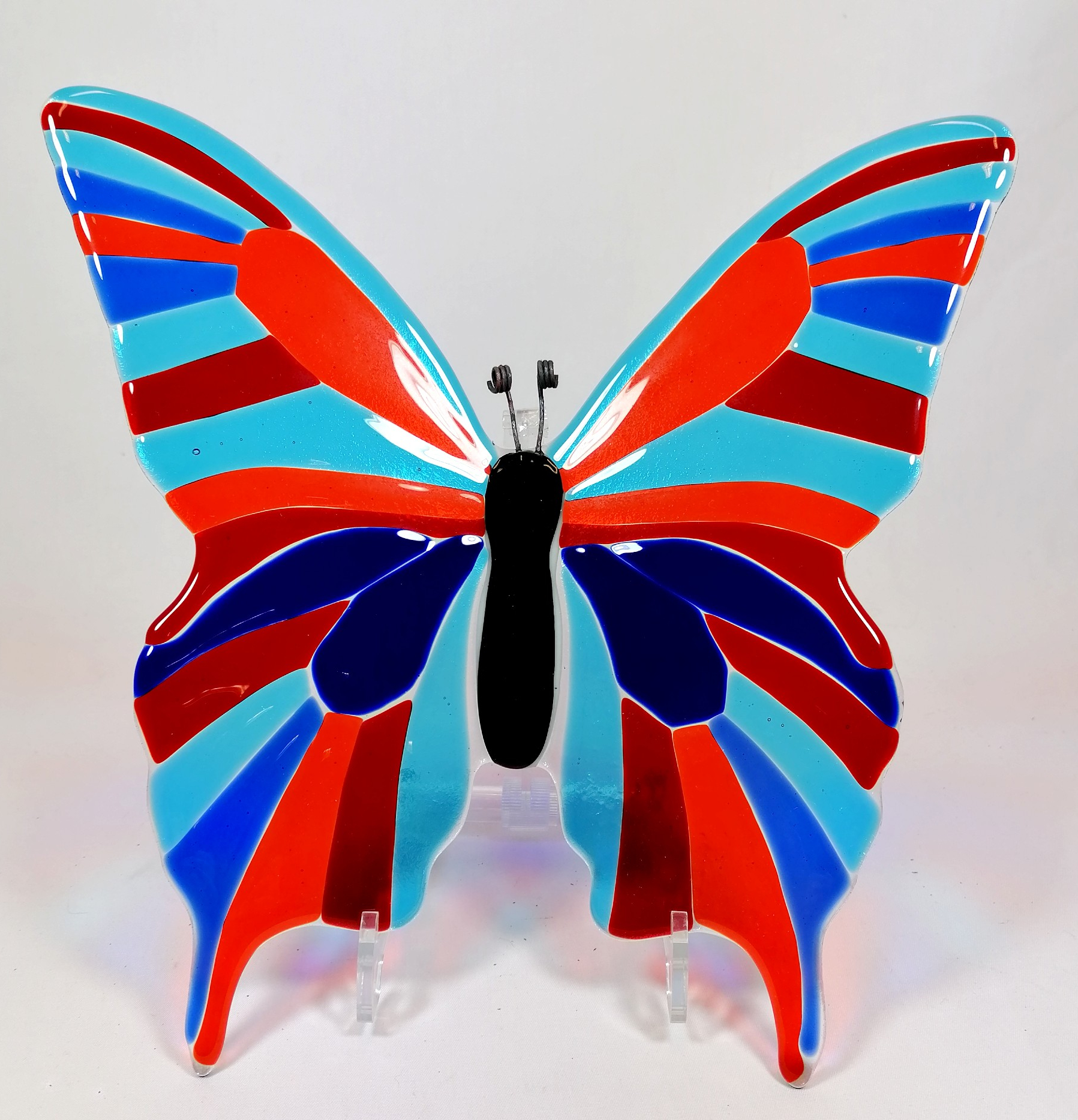 grote vlinder transparant